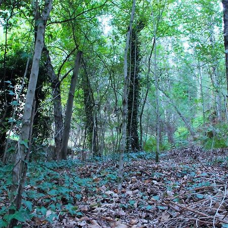 Eco Camping Juncal Marco de Canaveses Bagian luar foto