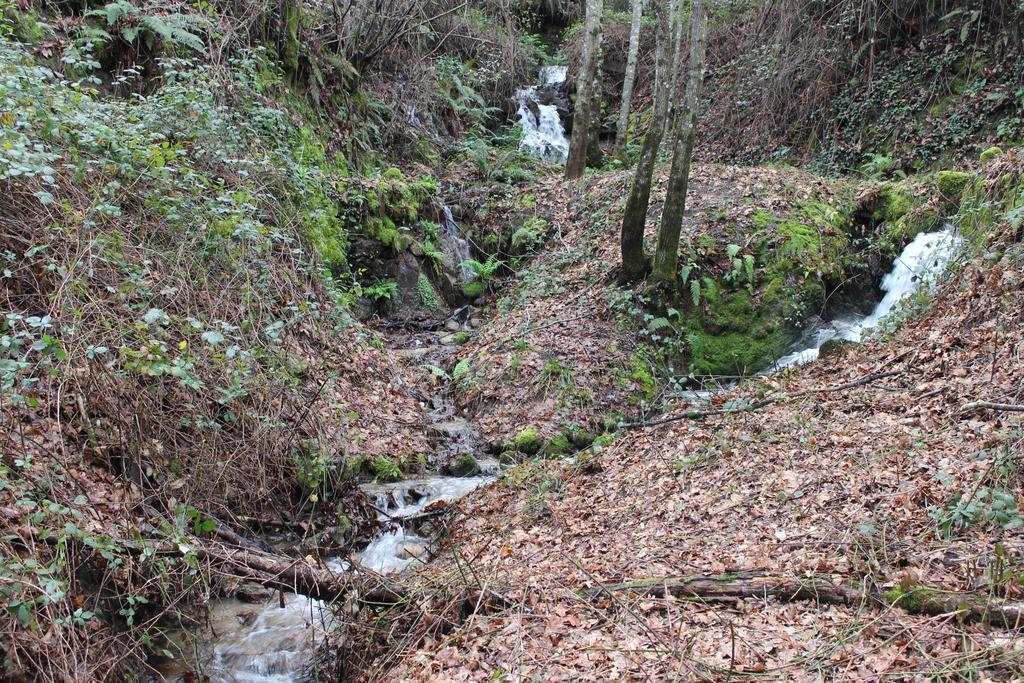 Eco Camping Juncal Marco de Canaveses Bagian luar foto