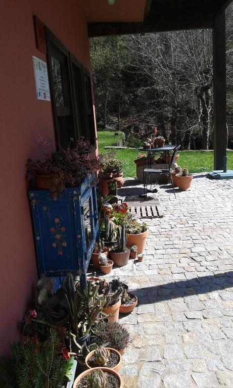 Eco Camping Juncal Marco de Canaveses Bagian luar foto