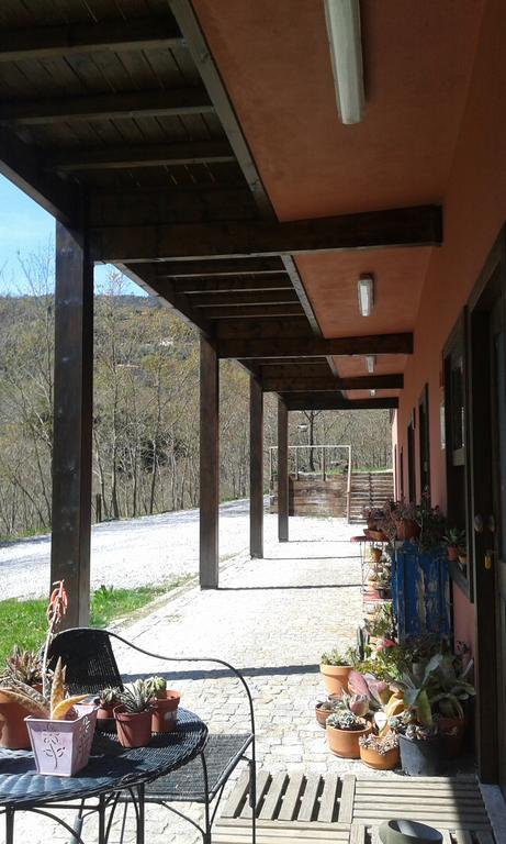 Eco Camping Juncal Marco de Canaveses Bagian luar foto