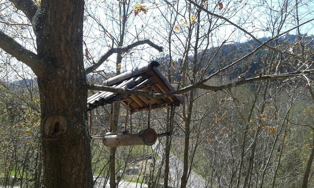 Eco Camping Juncal Marco de Canaveses Bagian luar foto