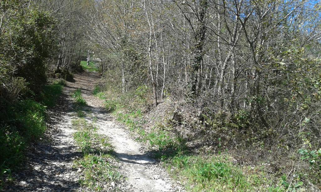 Eco Camping Juncal Marco de Canaveses Bagian luar foto