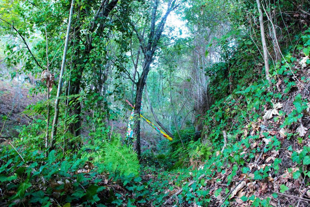 Eco Camping Juncal Marco de Canaveses Bagian luar foto