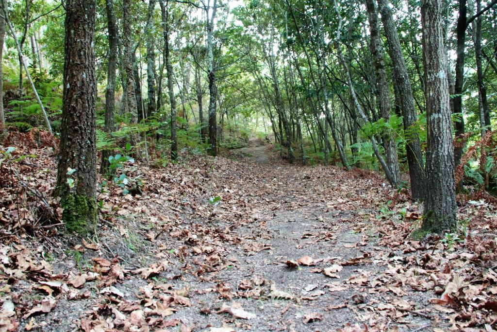 Eco Camping Juncal Marco de Canaveses Bagian luar foto