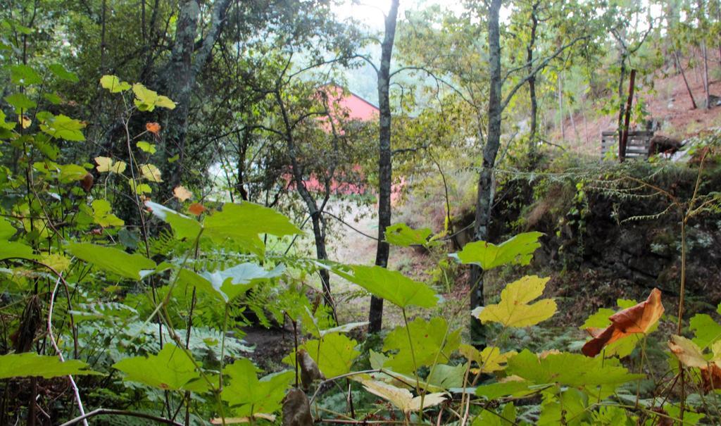 Eco Camping Juncal Marco de Canaveses Bagian luar foto