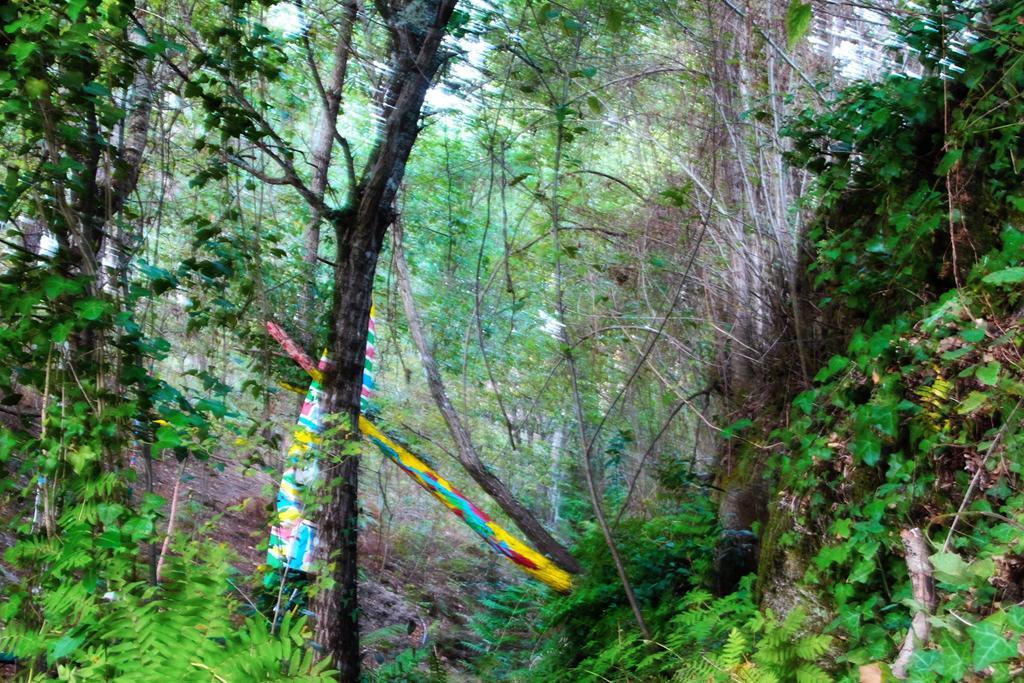 Eco Camping Juncal Marco de Canaveses Bagian luar foto